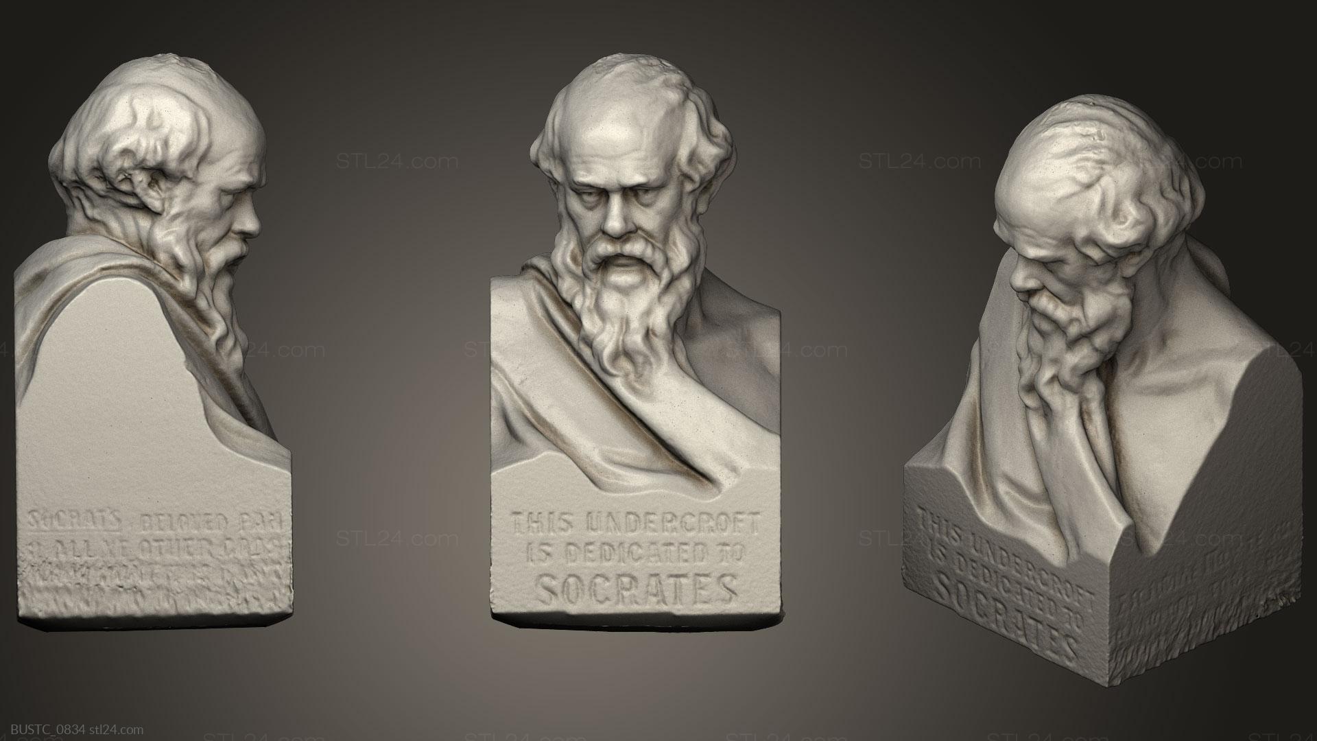 Бюсты и барельефы известных личностей (Сократ, BUSTC_0834) 3D модель для ЧПУ станка